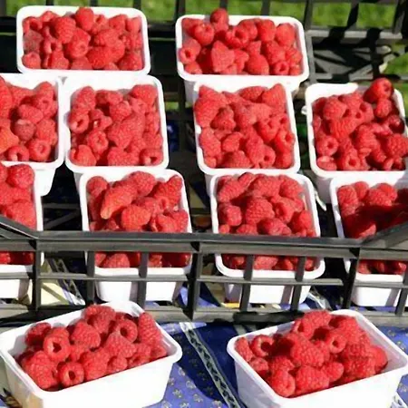 Le Reve Landhuis Courmayeur