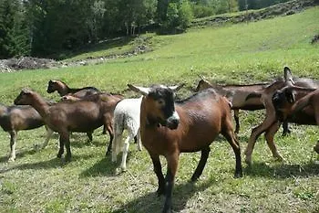 Le Reve Vendégház