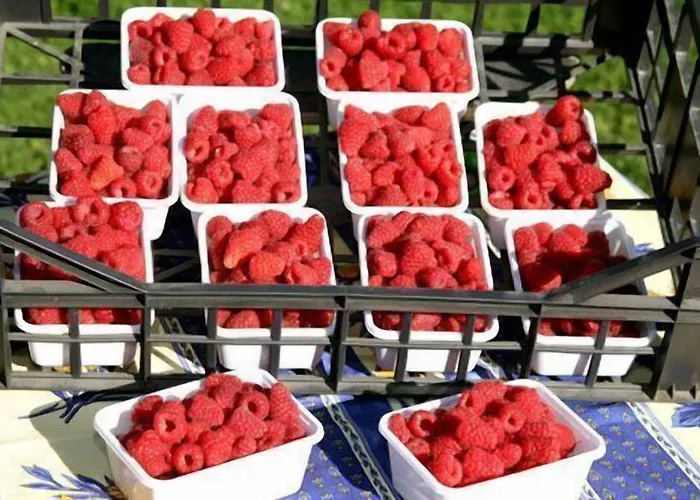 Le Reve Landhuis Courmayeur