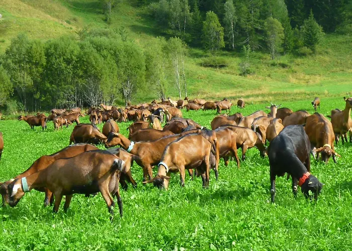 Hétvégi ház Le Reve *